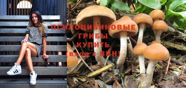 мескалин Богданович