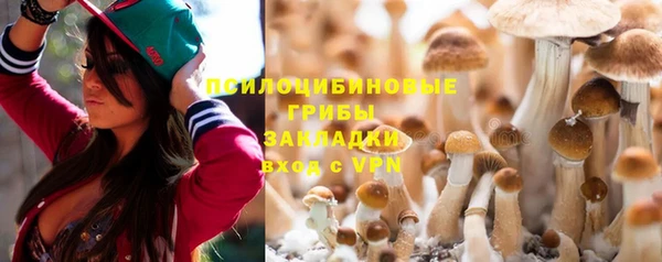 мескалин Богданович