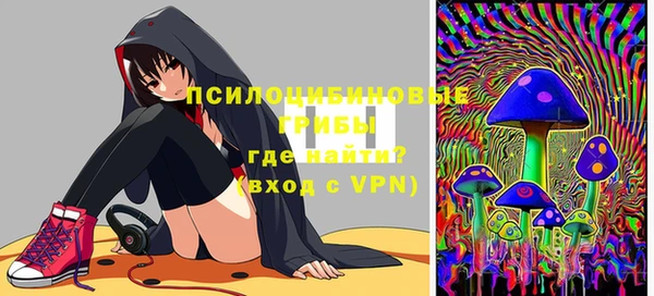 2c-b Богородицк