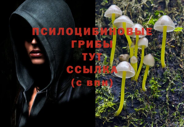 2c-b Богородицк