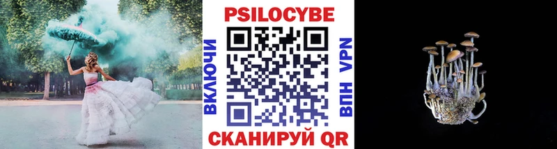 Псилоцибиновые грибы Psilocybine cubensis  Купить где  Уяр 